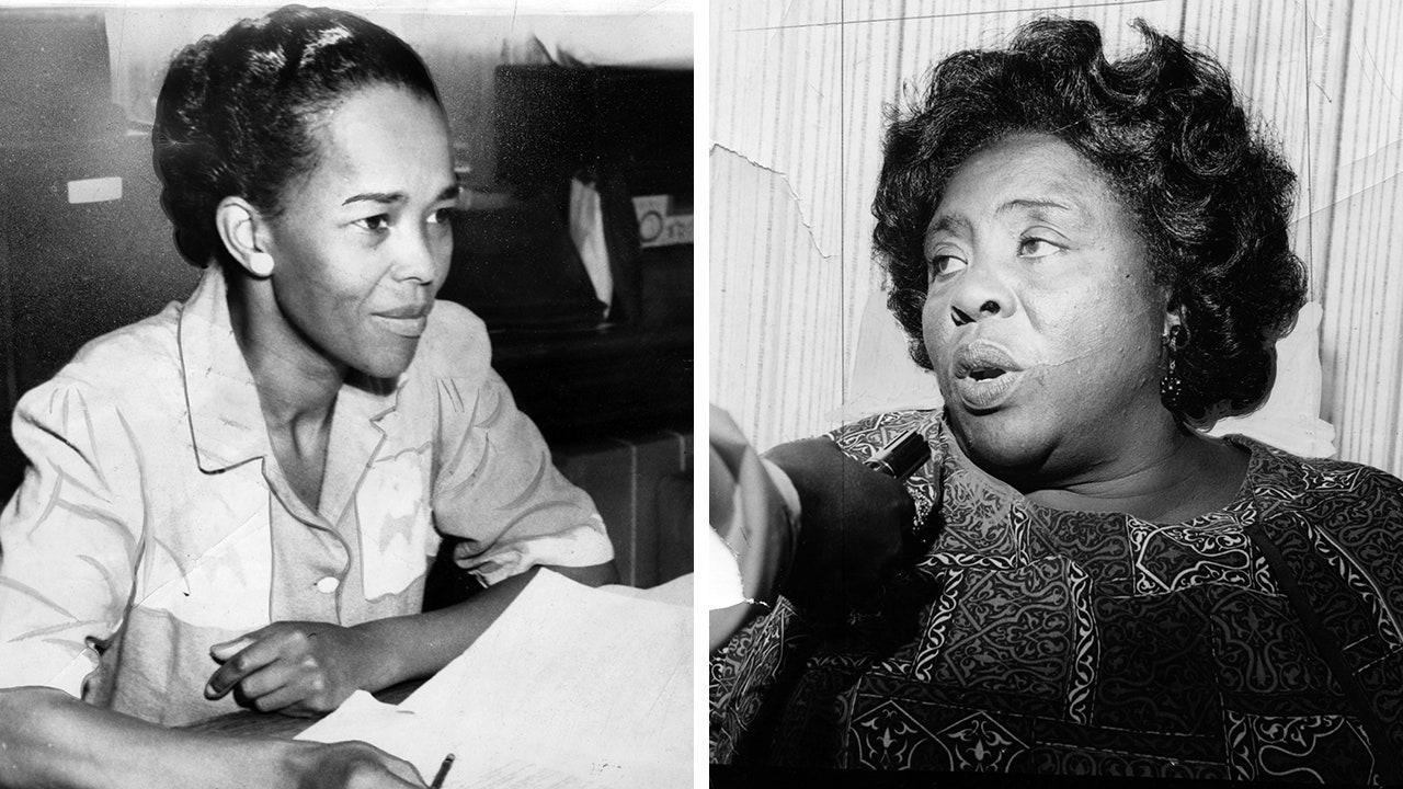 who was fannie lou hamer and what role did she play in the african american civil rights movement