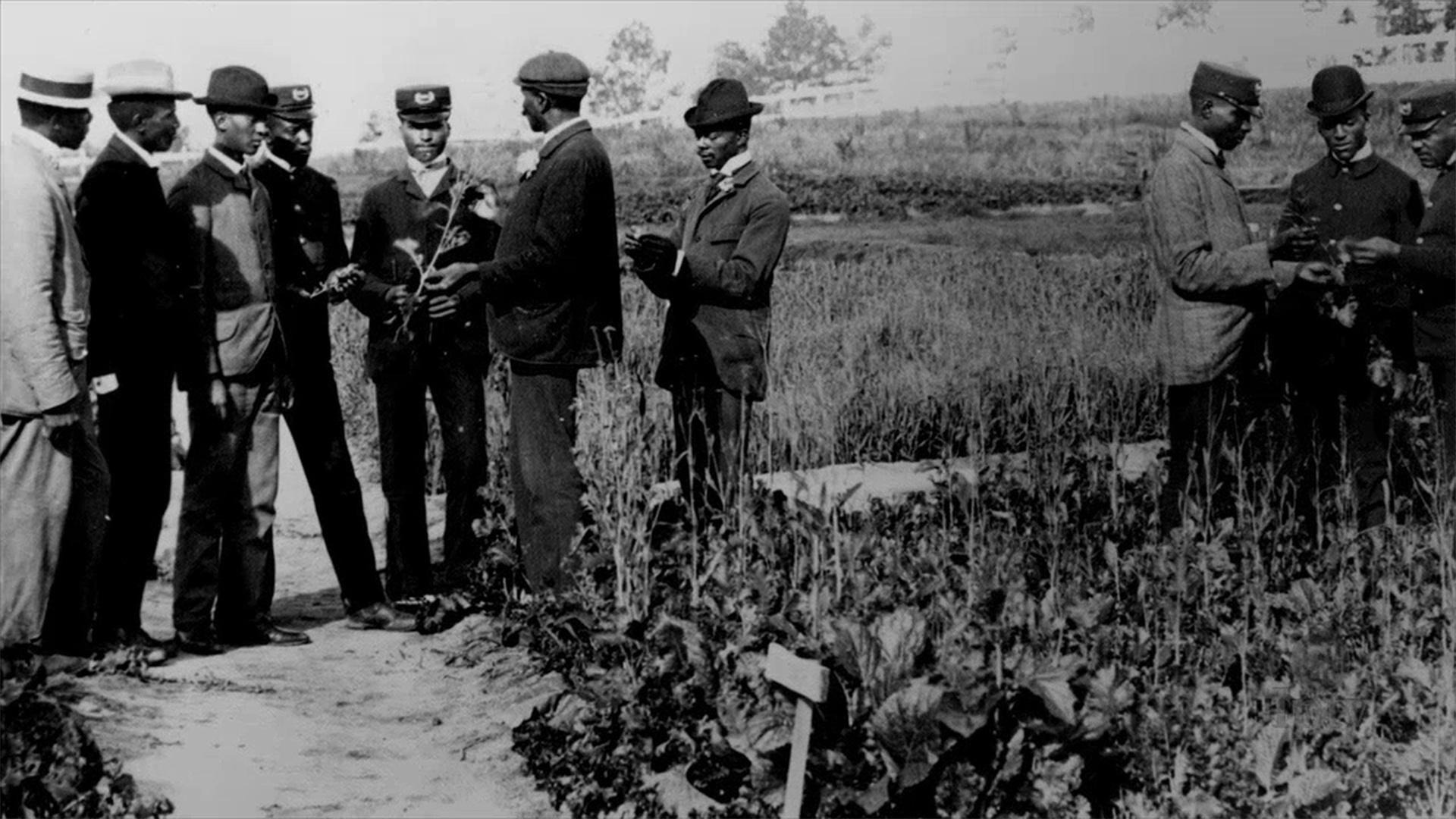 who was george washington carver and how did carvers work in botany increase crop production in the south