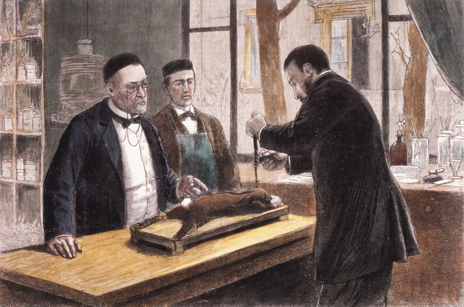 who was louis pasteur and what were louis pasteurs major contributions to microbiology and chemistry