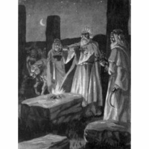 who were the druids in celtic mythology and why did the druids conduct spiritual ceremonies in oak forests