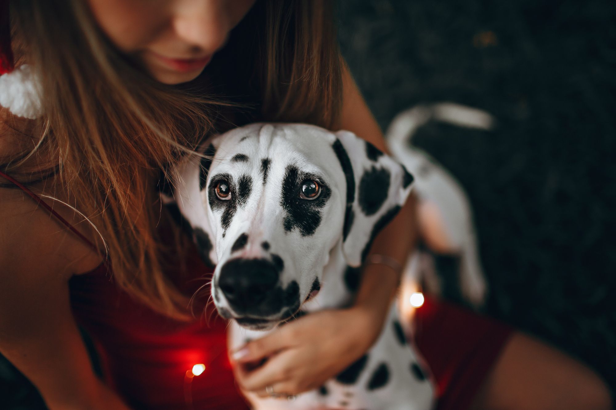 why are dalmatians associated with firefighters and how did the dog breed become a firehouse mascot