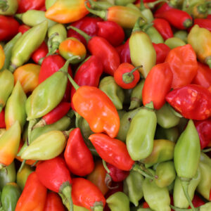 why are hot peppers hot and what is the natural function of the compounds in hot peppers