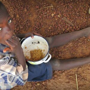 why are other countries unable to send enough food to african countries during times of famine