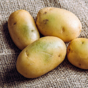 why are potatoes with green skin toxic and unsafe to eat