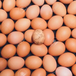 why are some chicken eggs brown and other chicken eggs are white