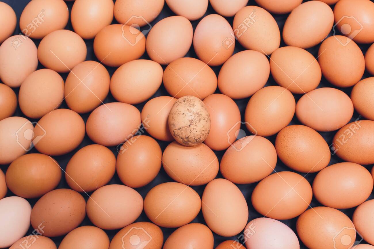 why are some chicken eggs brown and other chicken eggs are white