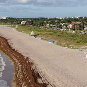 why are the beaches of florida disappearing