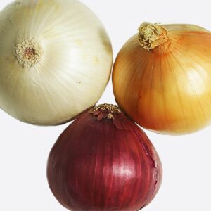 why are vidalia onions so much sweeter than other types of onions
