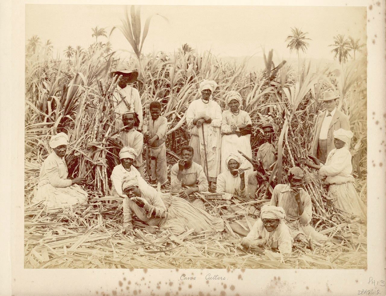 why did planters in south carolina seek slaves from particular regions of africa