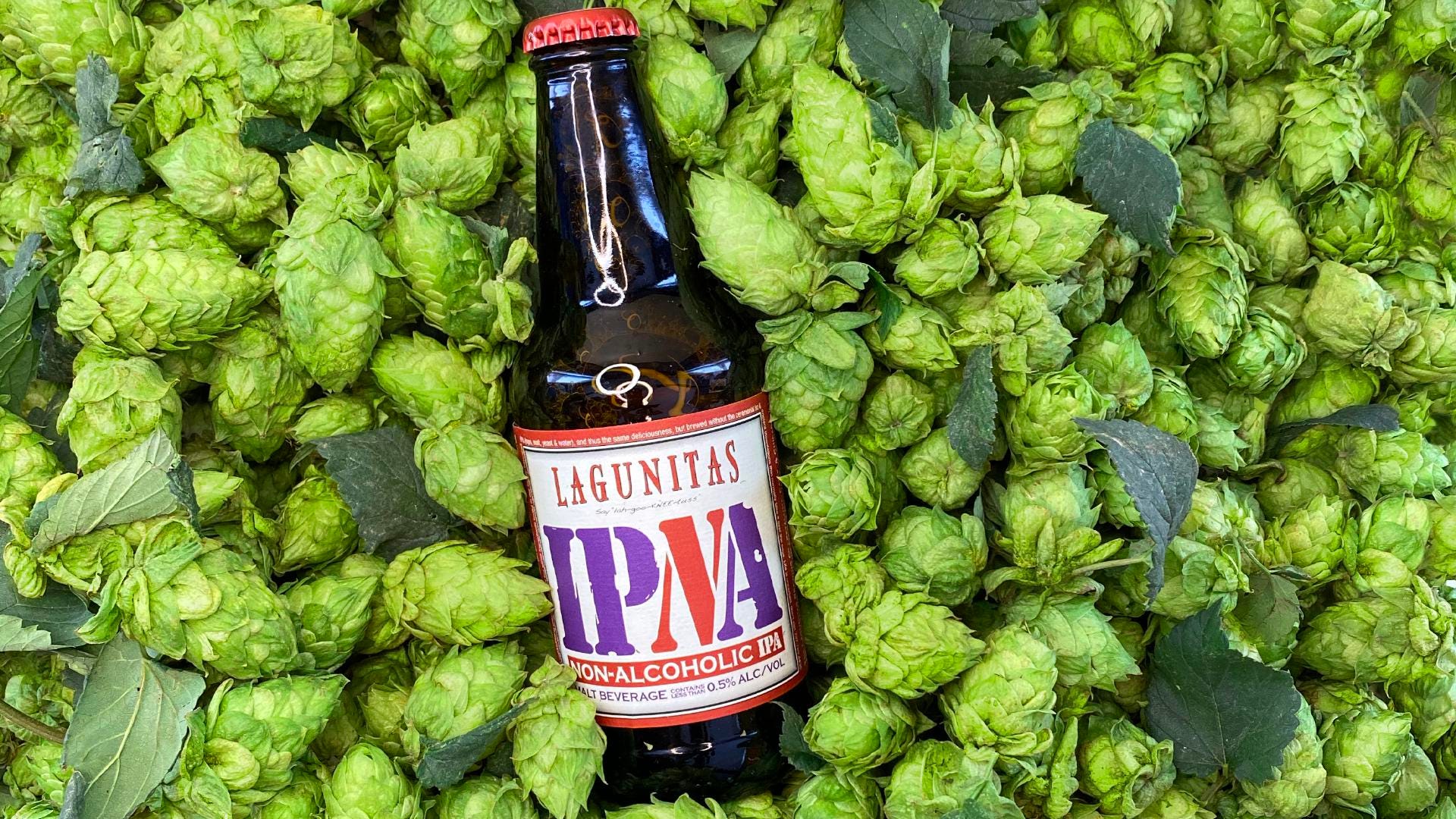 why did the british invent india pale ale and how do the hops in india pale ale help preserve the beer