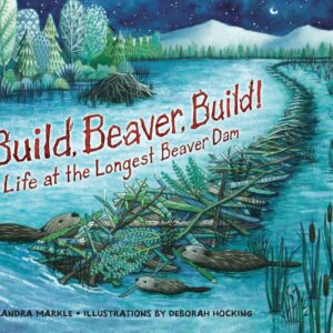 why do beavers build dams and what are they made of