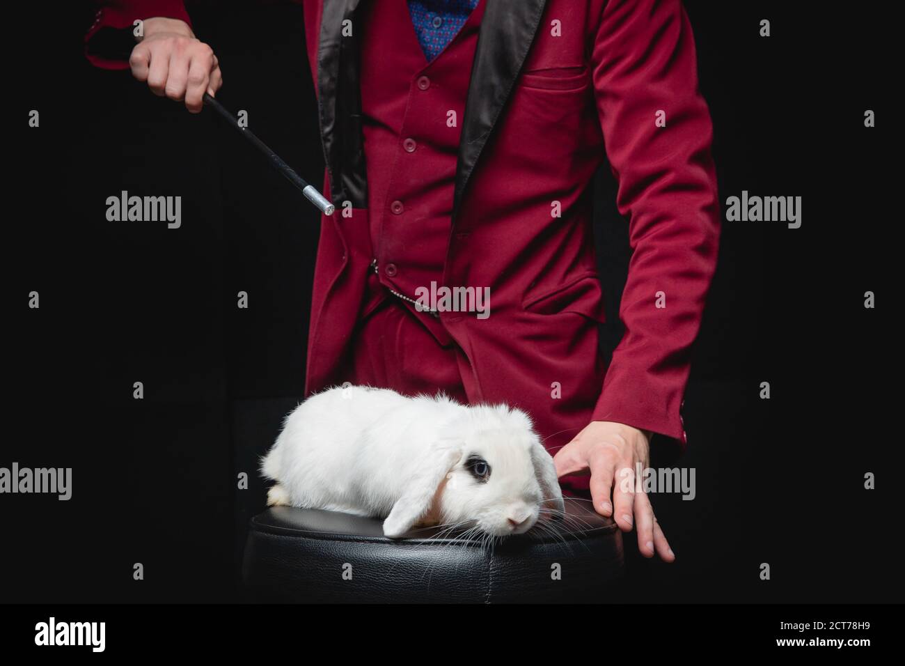 why do magicians use rabbits for magic tricks instead of puppies or hamsters
