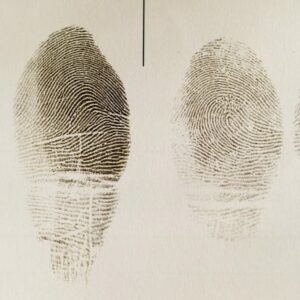 why do we have fingerprints and what beneficial purpose have human fingerprints evolved to serve
