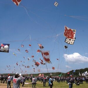 why does the hamamatsu festival in japan have kite fights