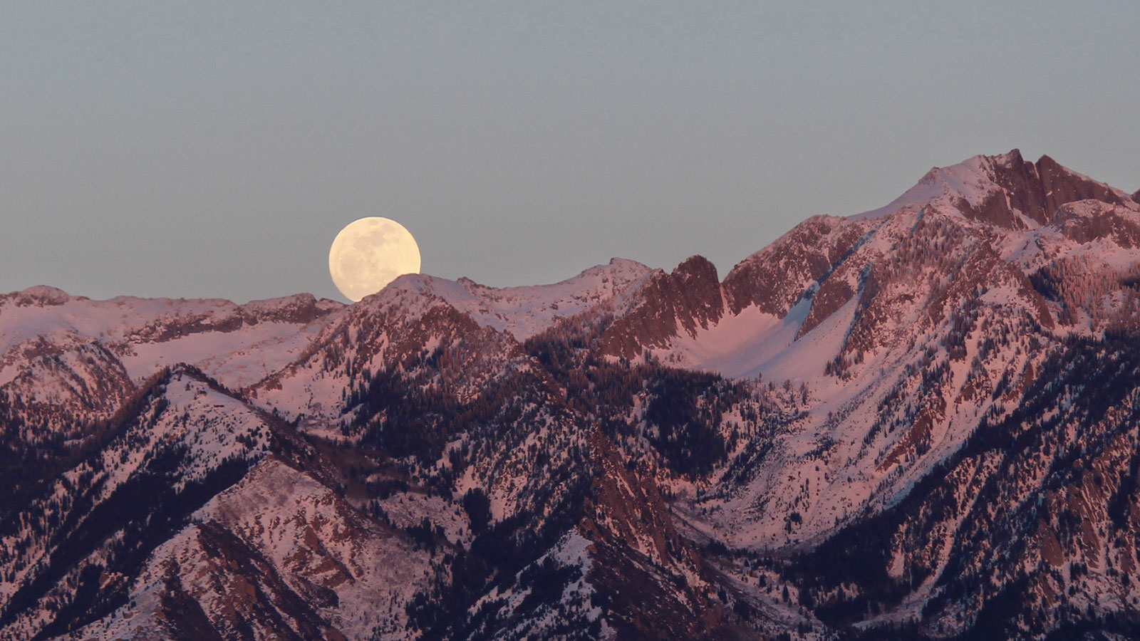 why does the moon seem larger when it is close to the horizon and what causes the optical illusion