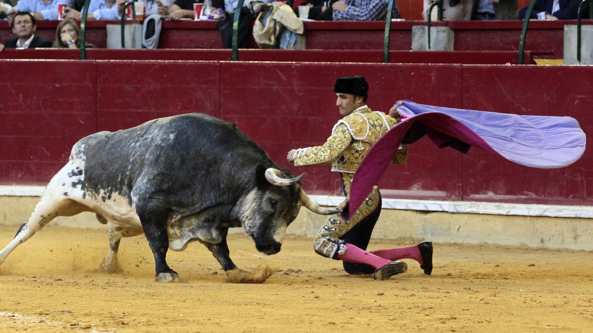 why is bullfighting illegal in the united states