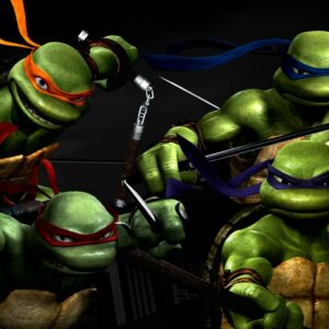 why is the teenage mutant ninja turtle michaelangelo spelled differently from the artist michelangelo
