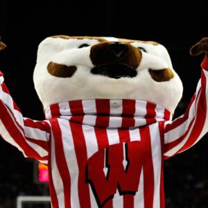 why is wisconsin nicknamed the badger state and what does the nickname mean