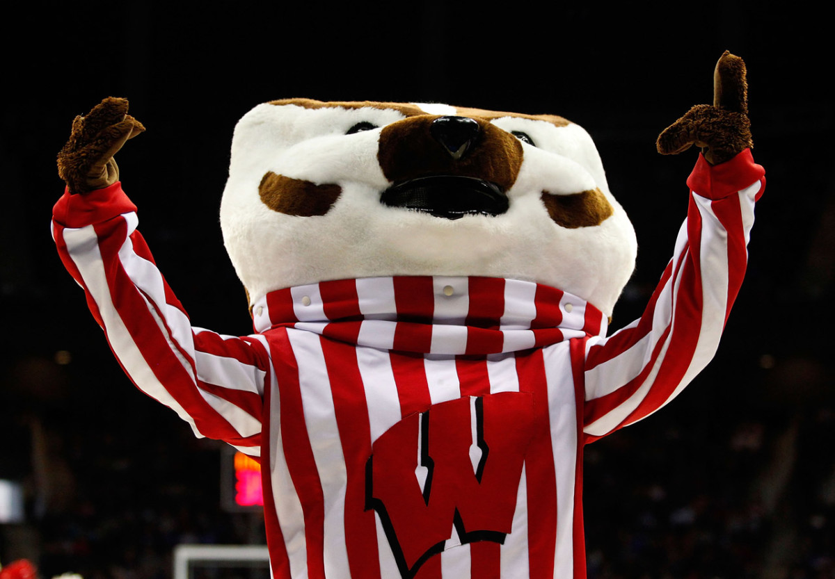 why is wisconsin nicknamed the badger state and what does the nickname mean