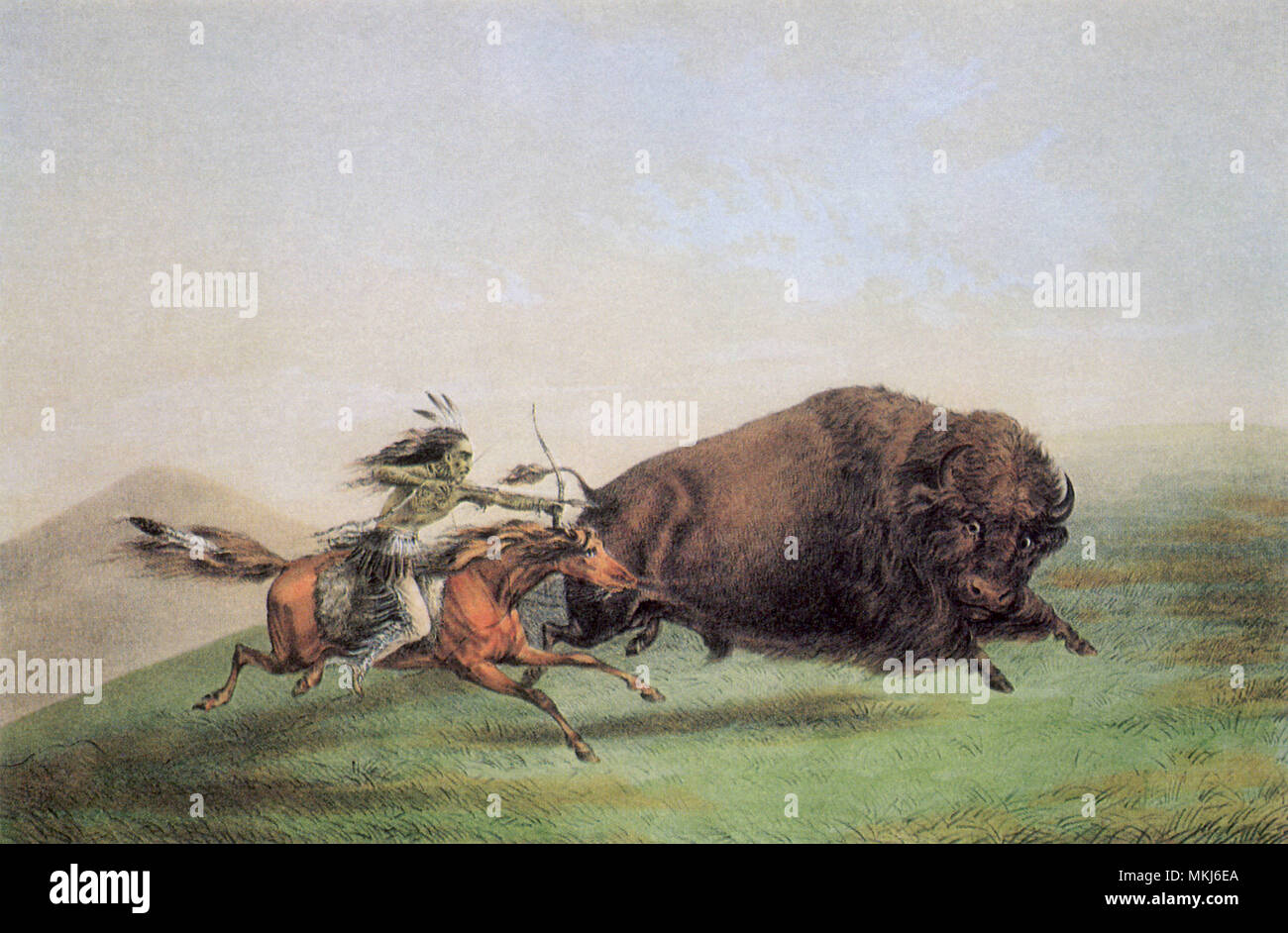 why was the buffalo important to native americans and what else were buffaloes used for besides meat