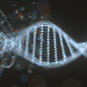 why was the discovery of the structure of dna so important and when was the human genome project completed