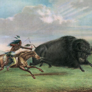 why were horses so important to plains indians