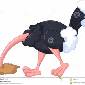 does an ostrich really hide its head in the sand