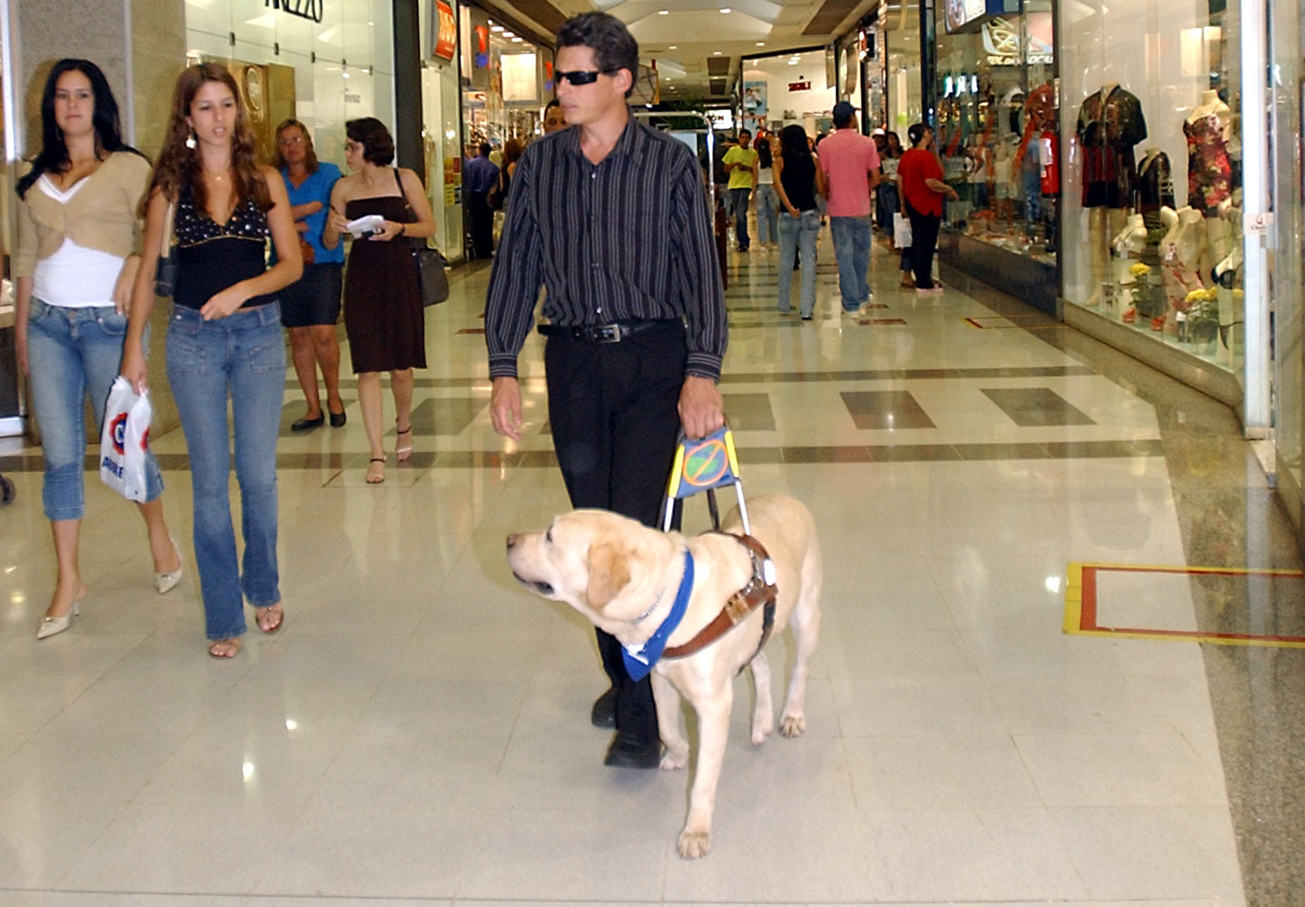 how did the first guide dogs originate and how much does it cost to train with a seeing eye dog