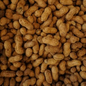 how did the peanut get its name and where does the word peanut come from