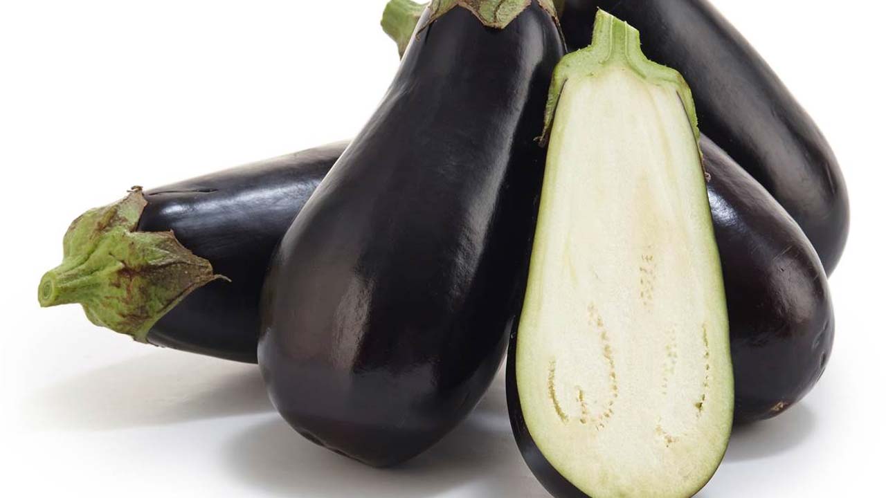 the history of eggplants