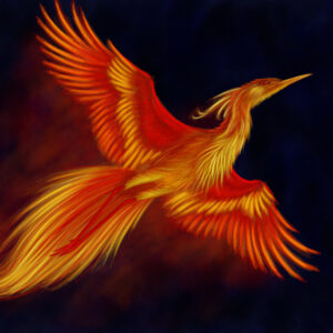 was the phoenix ever a real bird