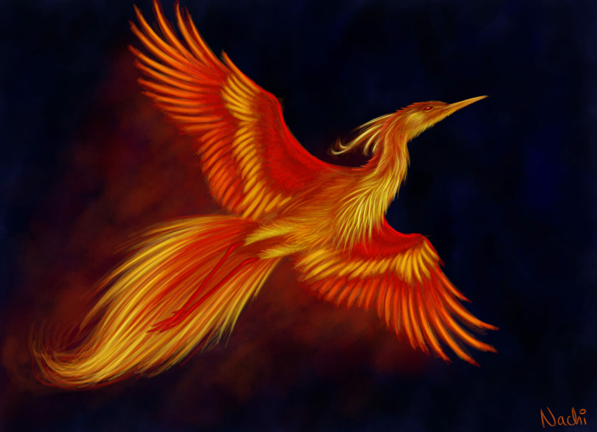 was the phoenix ever a real bird