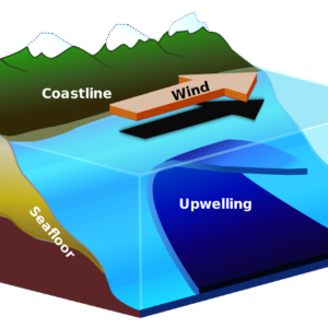 what causes ocean currents