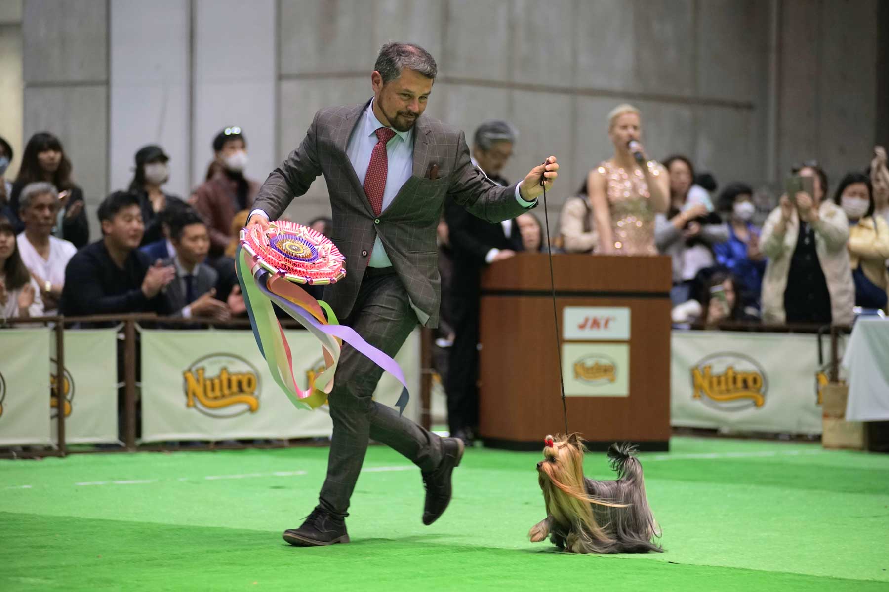 what does best in show mean when referring to a dog show