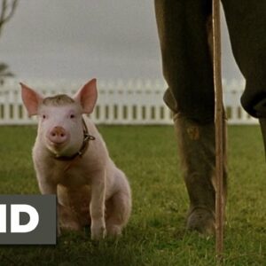 what happened to the pig from the movie babe and did the pig get turned into pork chops