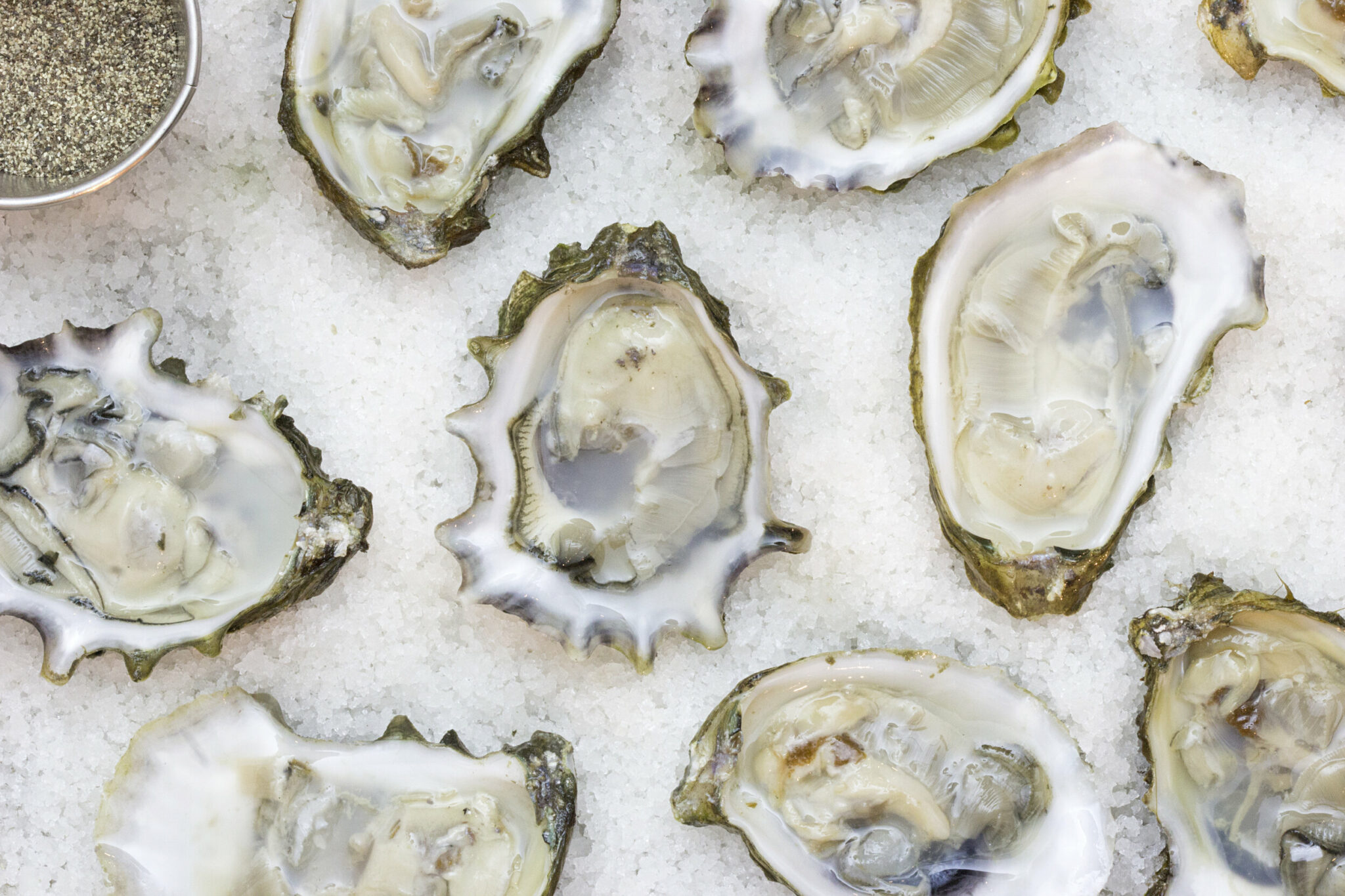 what is the difference between oysters and clams