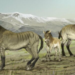 what other strange animals lived during the ice age besides big toothed kangaroo from the pleistocene era