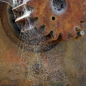 where do cobwebs come from and what does the word cobweb mean