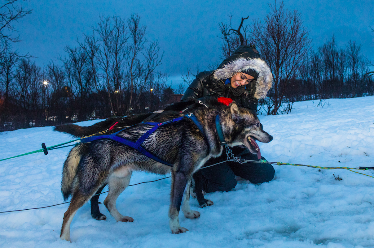 why do we say mush to sled dogs when we want them to go faster and what does the word mean