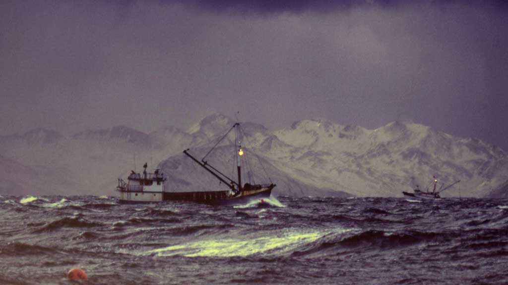 King Crab fishing in the Bering Sea