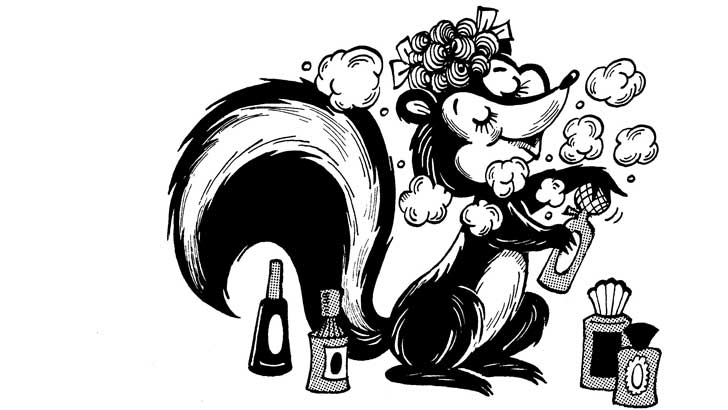 why do skunks smell