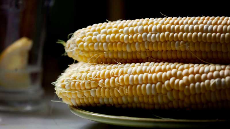 where did corn originate