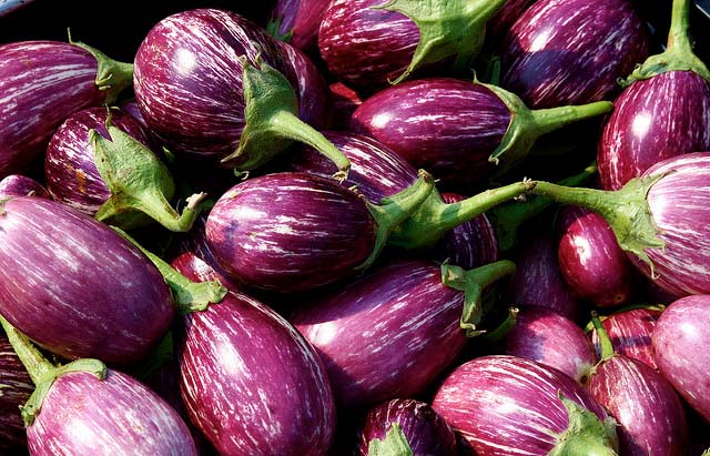 eggplant name