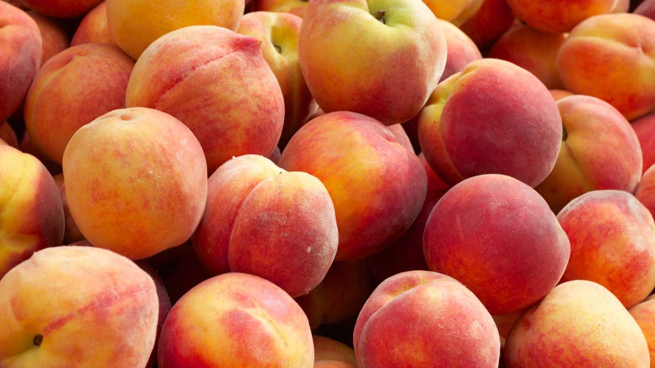 a bunch of yummy peaches